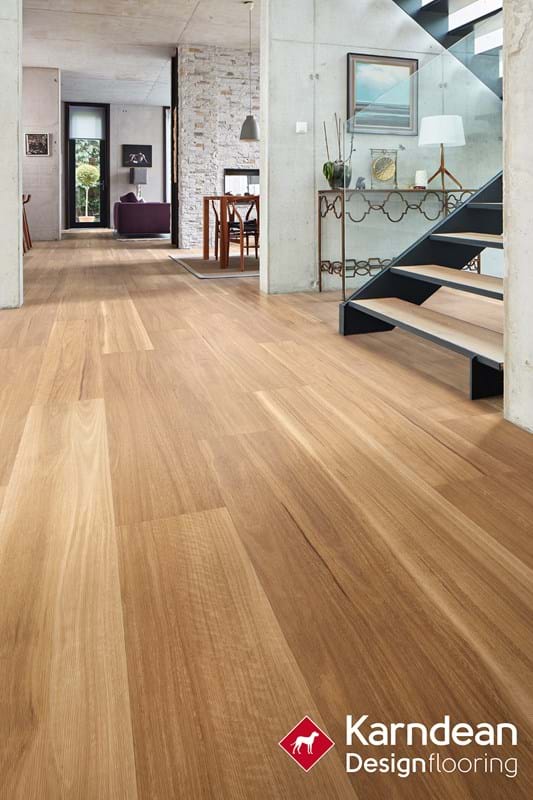 Lemon Spotted Gum Open Plan Area DG Web